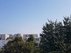 Dristor, garsoniera libera