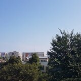 Dristor, garsoniera libera